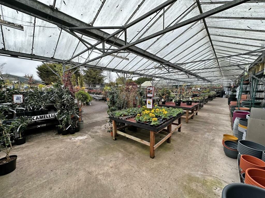 Additional image 10 of Brynawel Fuchsia & Garden Centre, Sully Road, Penarth, Vale of Glamorgan, CF64 2TR