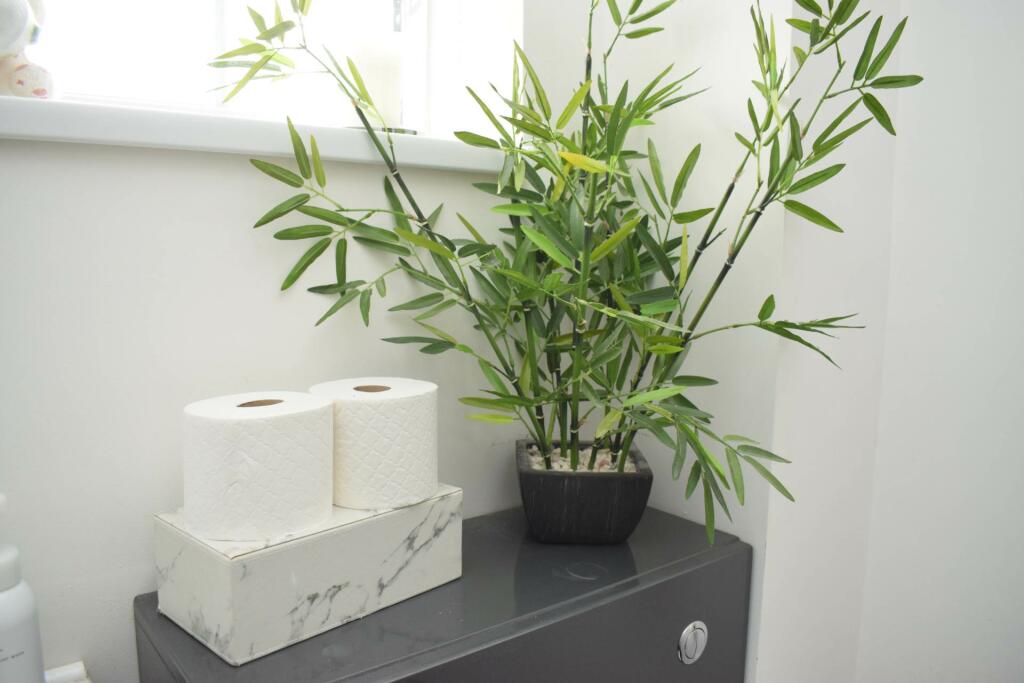 Additional image 25 of Kinglass Road, Spital