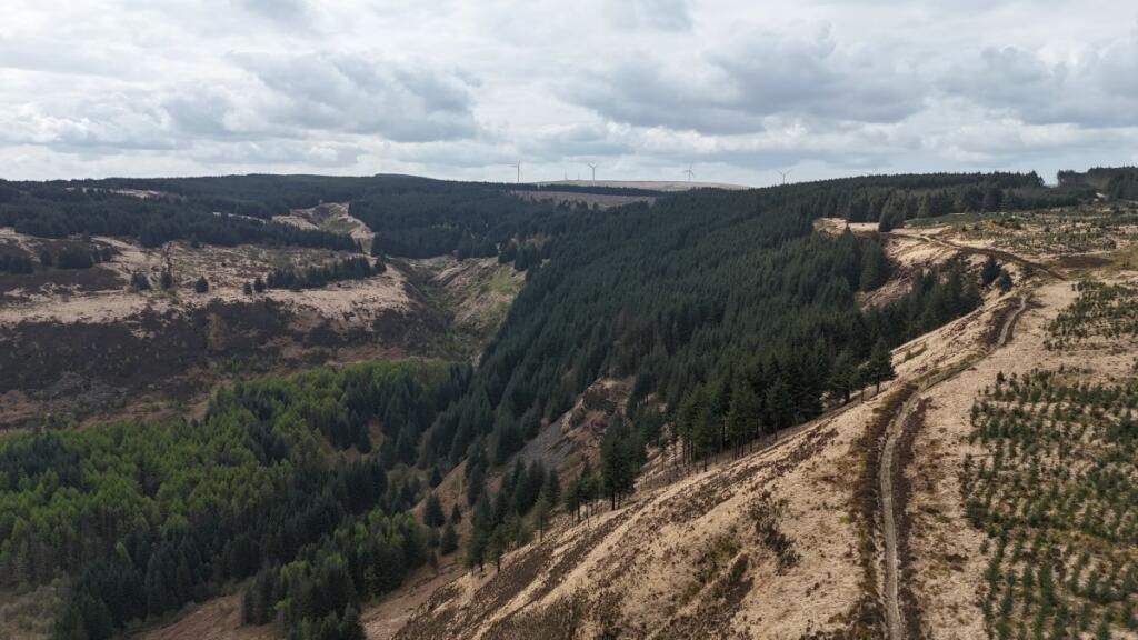 Additional image 6 of Parc Tre mynydd Blaencwm Treorchy - Treorchy
