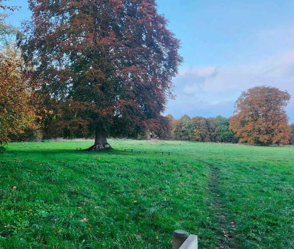 Additional image 4 of Heytesbury, Warminster