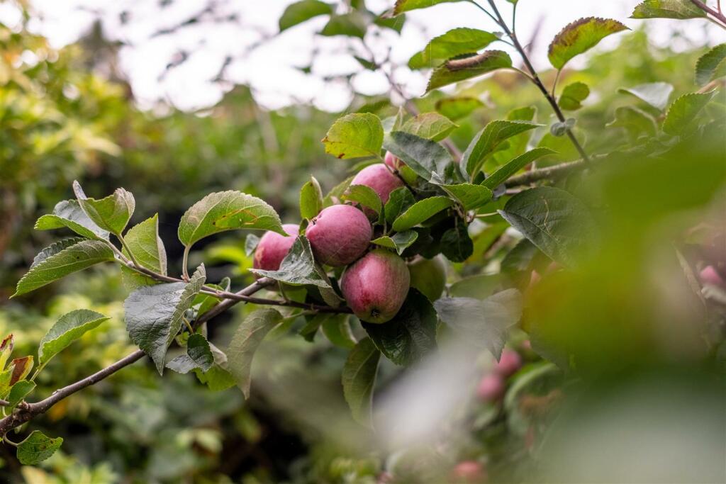 Additional image 44 of The Village, Burton, Cheshire