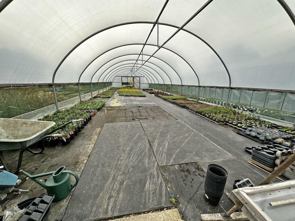 Additional image 22 of Brynawel Fuchsia & Garden Centre, Sully Road, Penarth, Vale of Glamorgan, CF64 2TR