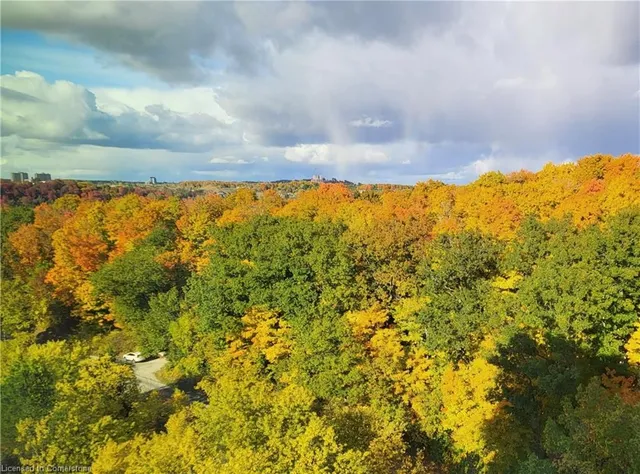 Additional image 9 of 35 Green Valley Dr Unit 1514