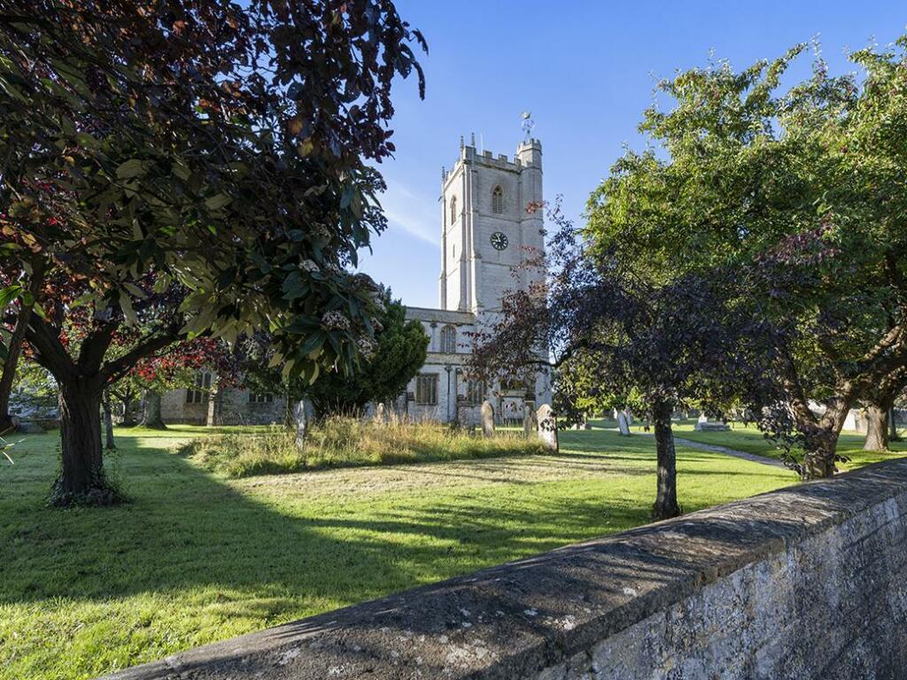 Additional image 14 of Queen Camel