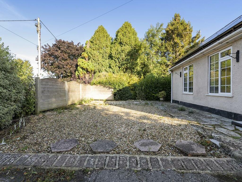 Additional image 4 of Queen Camel