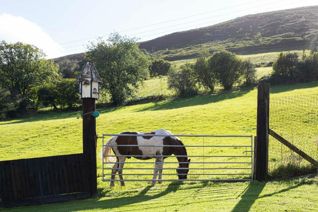 Additional image 38 of Ty'R-y-Wen Farm, Bedlinog, Treharris