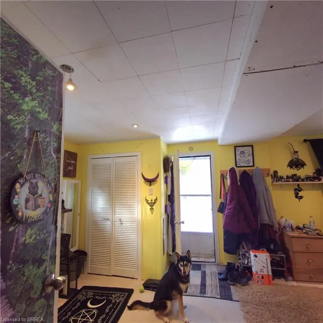 Additional image 4 of 59 Wow Wow Way