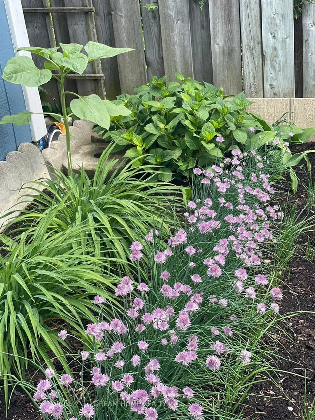 Additional image 28 of 21 Clydesdale Dr