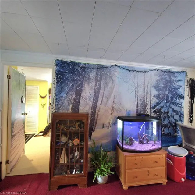 Additional image 7 of 59 Wow Wow Way