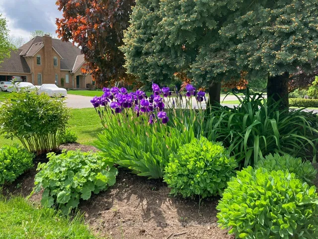 Additional image 8 of 21 Meander Clse