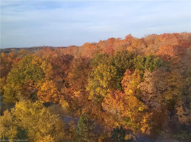 Additional image 8 of 35 Green Valley Dr Unit 1514