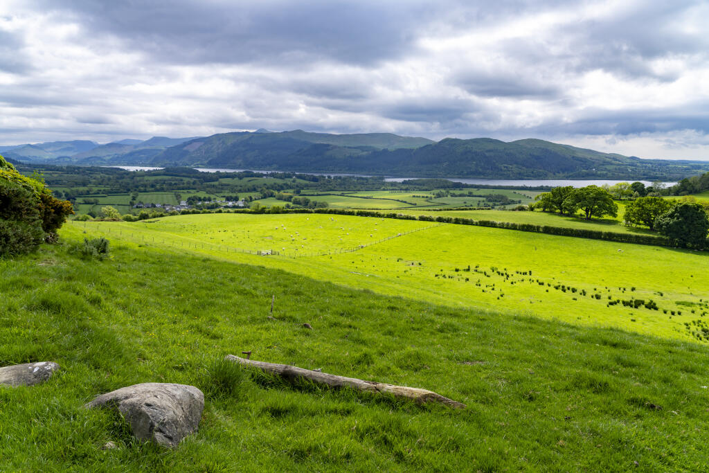 Additional image 5 of Lot 5 - Land at Robin Hood Farm, Bassenthwaite, Keswick, Cumbria CA12 4RJ