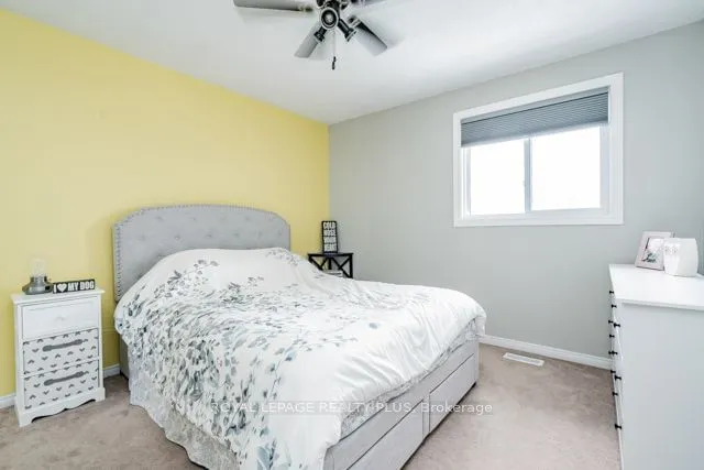 Additional image 28 of 31 Serafino Crt