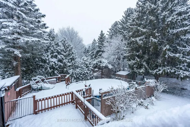 Additional image 39 of 1962 Snake Rd