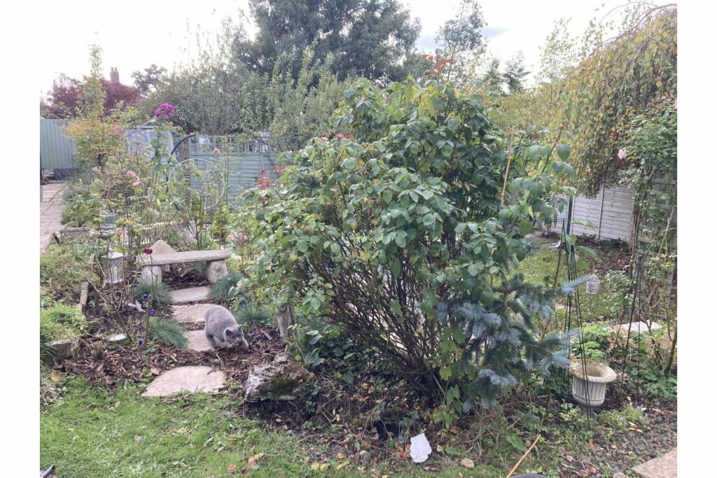 Additional image 68 of Haymakers Way, Chester, CH1