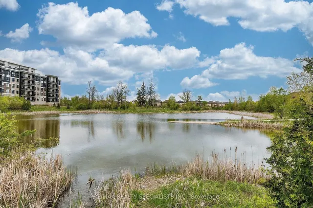 Additional image 39 of 640 Sauve St Unit 221