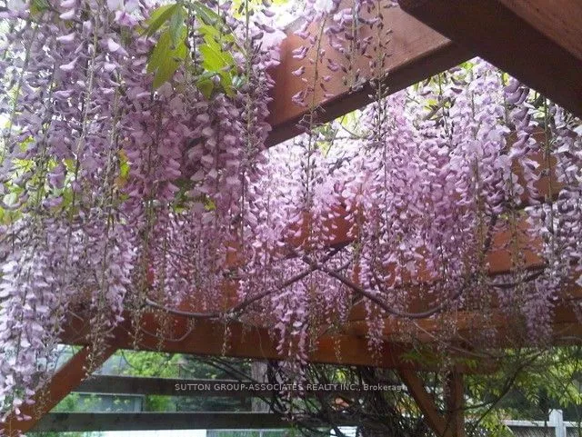 Additional image 38 of 25 Roseneath Gdns