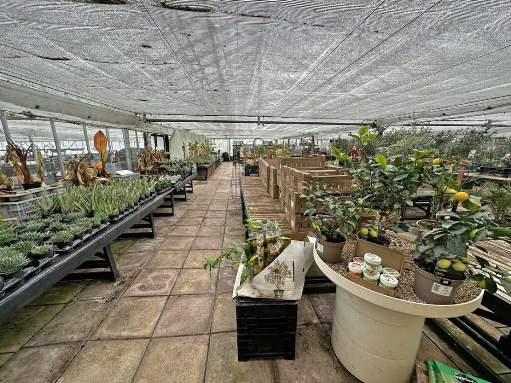 Additional image 17 of Brynawel Fuchsia & Garden Centre, Sully Road, Penarth, Vale of Glamorgan, CF64 2TR