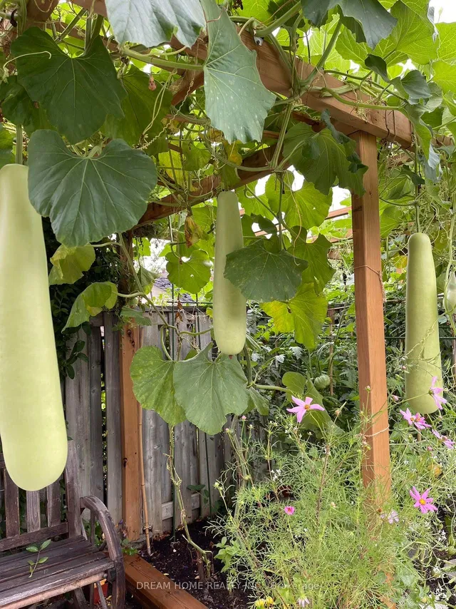 Additional image 26 of 21 Clydesdale Dr