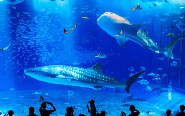 Additional image 14 of Toguchi, Motobu Town, Kunigami District, Okinawa Prefecture