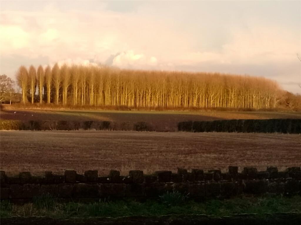 Additional image 21 of Raby Mere Road, Wirral, Merseyside, CH63