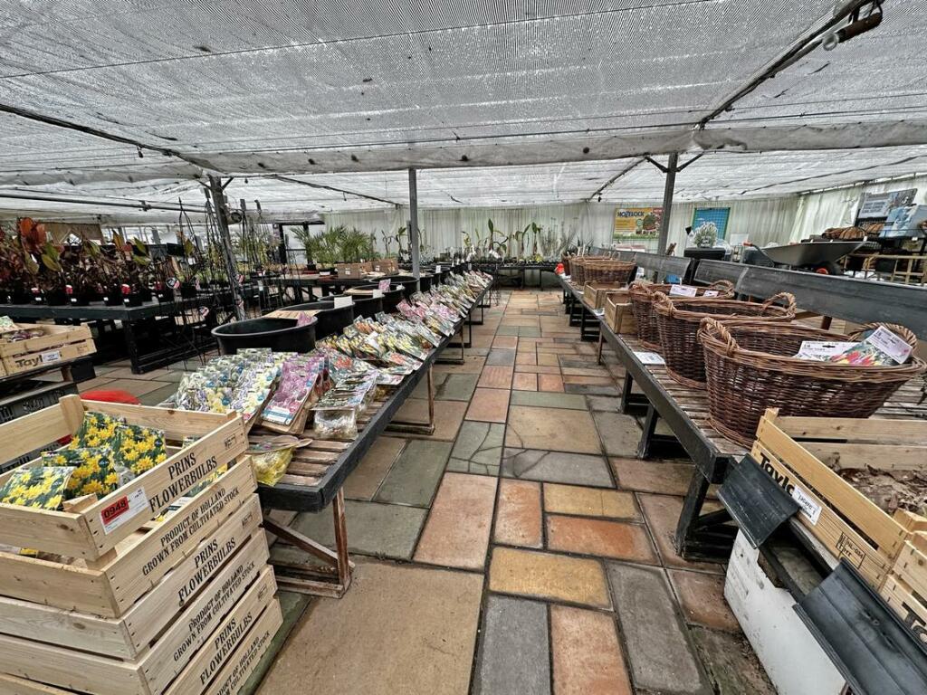Additional image 16 of Brynawel Fuchsia & Garden Centre, Sully Road, Penarth, Vale of Glamorgan, CF64 2TR