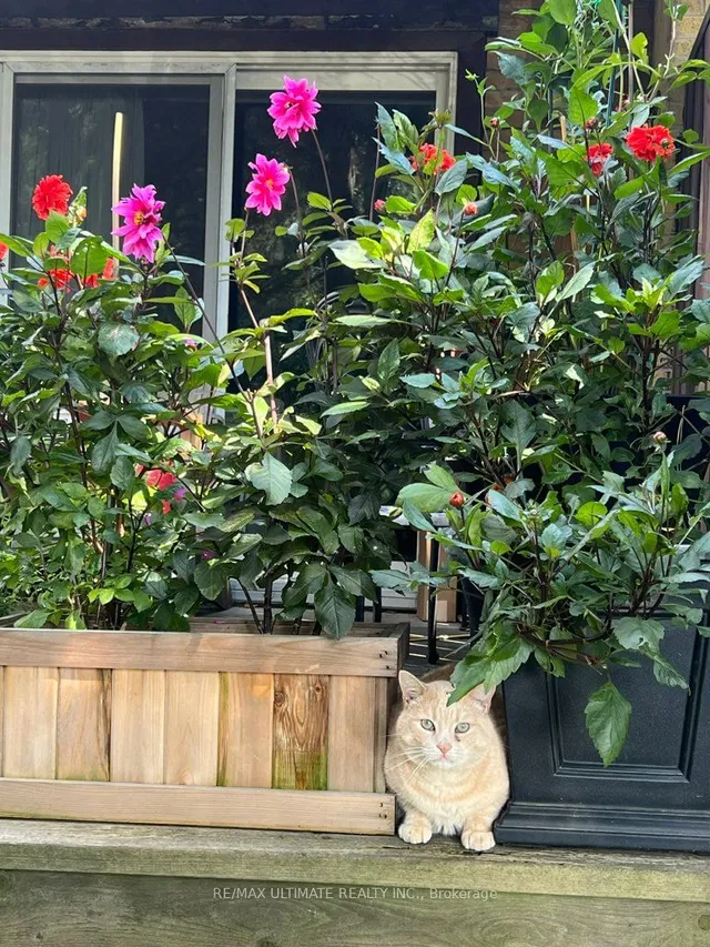 Additional image 25 of 78 Upper Canada Dr Unit 3