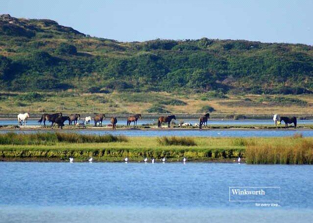 Additional image 21 of Stanpit, Christchurch, Dorset, BH23