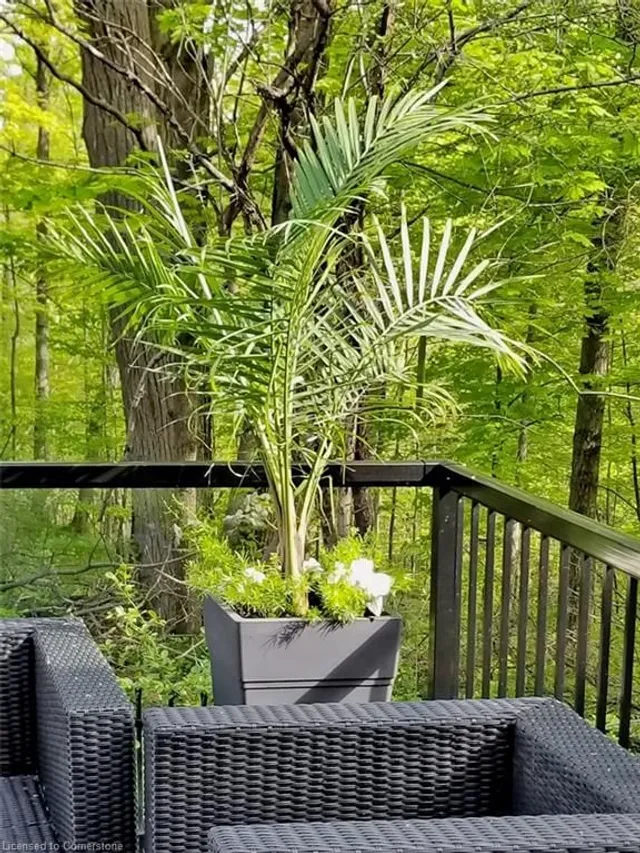 Additional image 25 of 4-258 Edgewater Cres