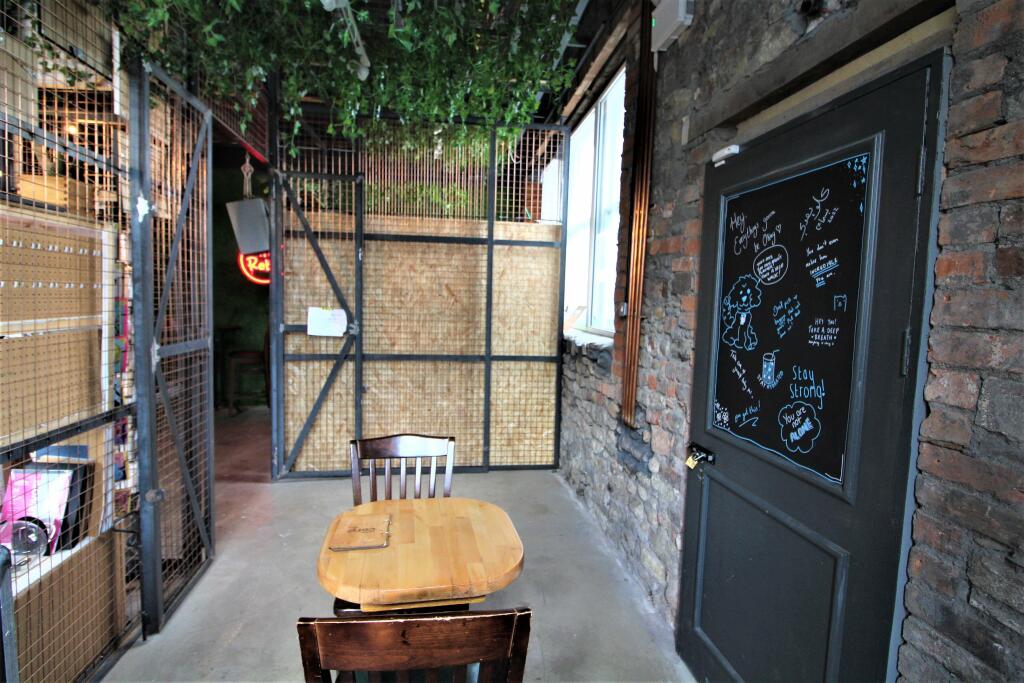 Additional image 5 of 188 Cowbridge Road East, Canton,