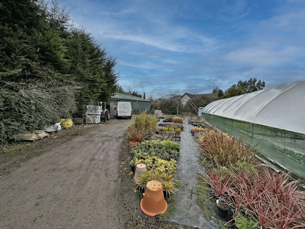 Additional image 23 of Brynawel Fuchsia & Garden Centre, Sully Road, Penarth, Vale of Glamorgan, CF64 2TR