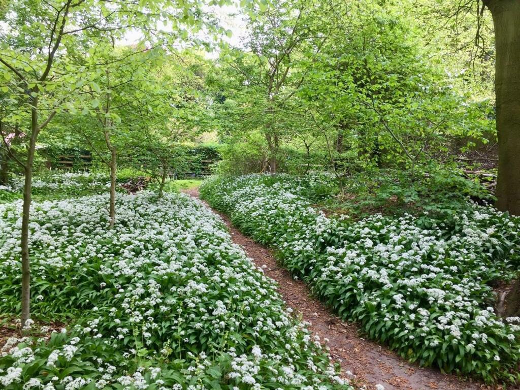 Additional image 40 of Mere Hall, Oxton