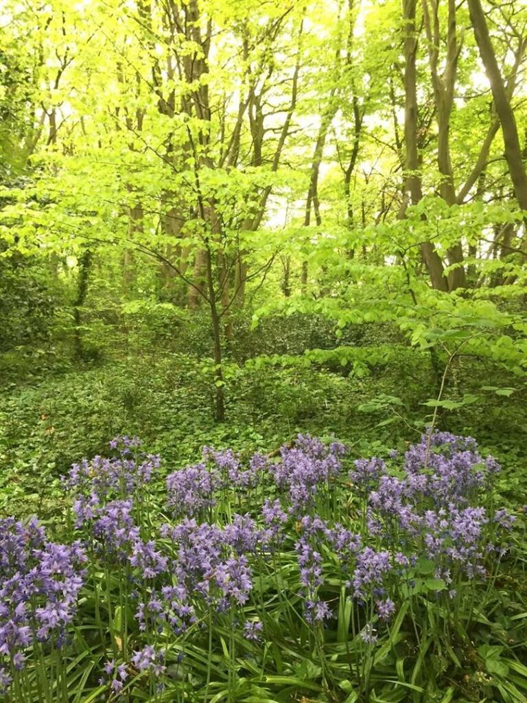 Additional image 39 of Mere Hall, Oxton