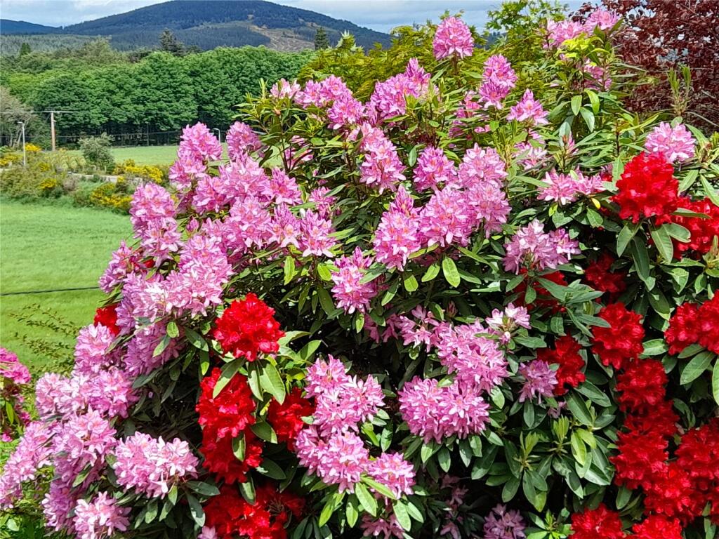 Additional image 49 of Croiscrag, Birse, Aboyne, Aberdeenshire, AB34