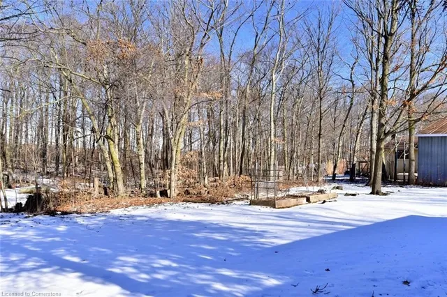 Additional image 38 of 9360 Dickenson Road Rd