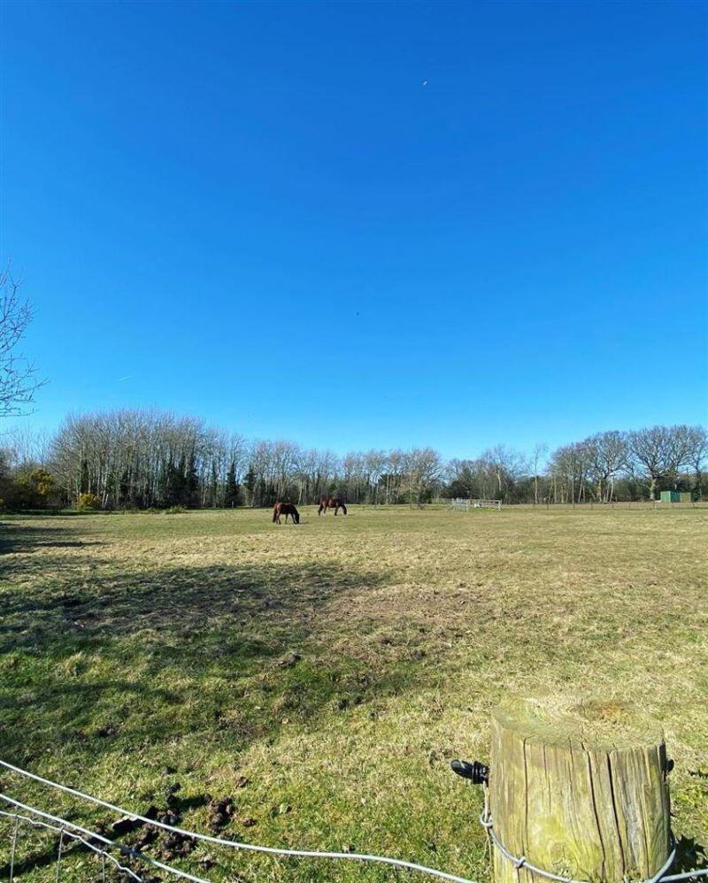Additional image 4 of Deeside, Lower Heswall, Wirral