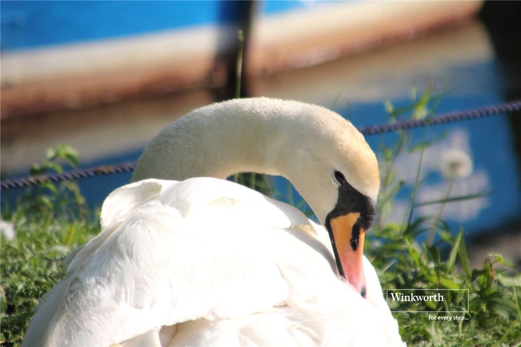 Additional image 22 of Stanpit, Christchurch, Dorset, BH23