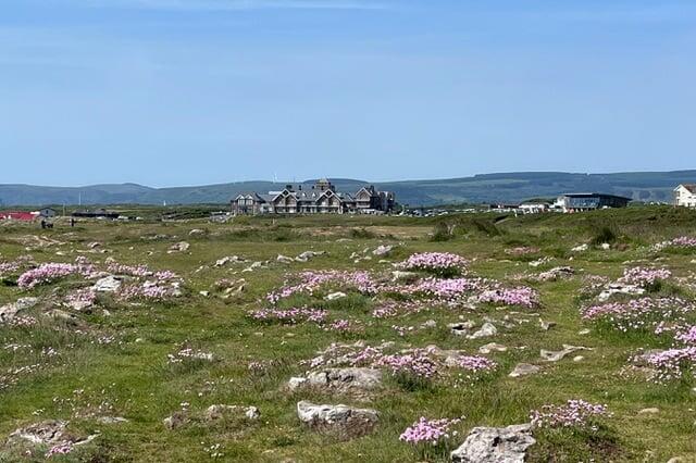 Additional image 22 of THE REST, REST BAY, PORTHCAWL, CF36 3UP