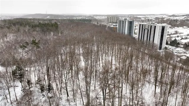 Additional image 33 of 35 Green Valley Dr Unit 1514