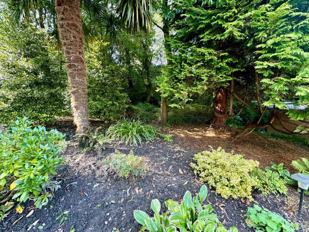 Additional image 27 of Tylacoch Cottage, Treorchy