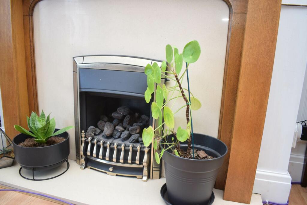 Additional image 7 of Haldane Avenue, Claughton