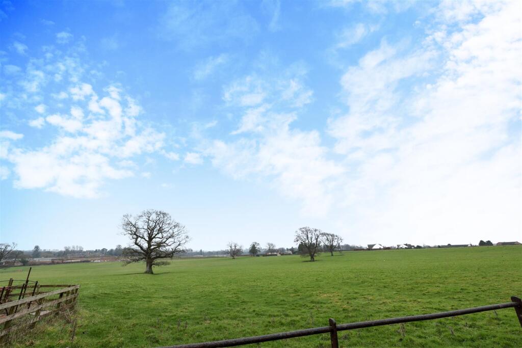 Additional image 19 of Brisco