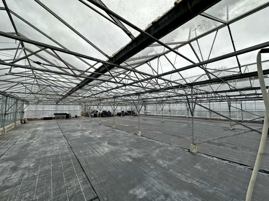 Additional image 20 of Brynawel Fuchsia & Garden Centre, Sully Road, Penarth, Vale of Glamorgan, CF64 2TR