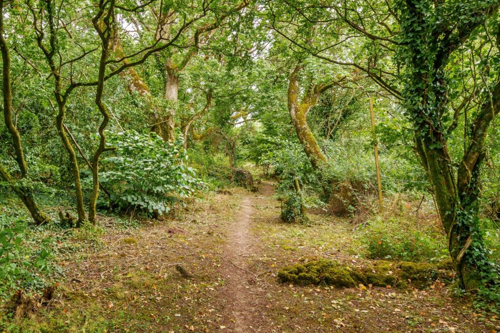 Additional image 39 of Bridgend GLAMORGAN