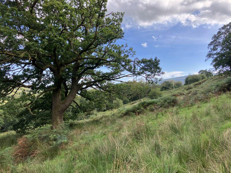 Additional image 6 of Approximately 43.49 acres of Land, North of Glyncoli Farm, Treorchy