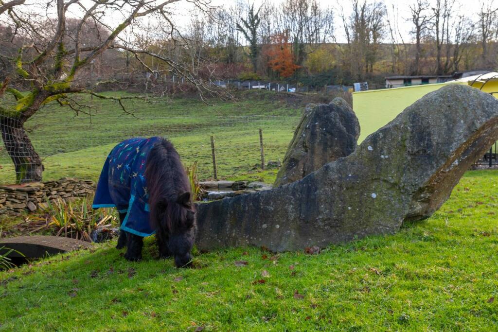 Additional image 57 of Cwmheldeg Isaf Farm, Cilfynydd, Pontypridd