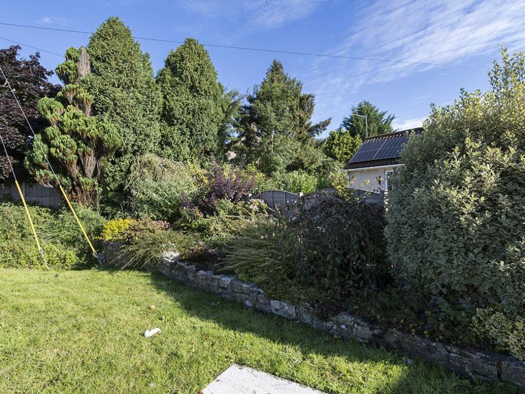 Additional image 12 of Queen Camel