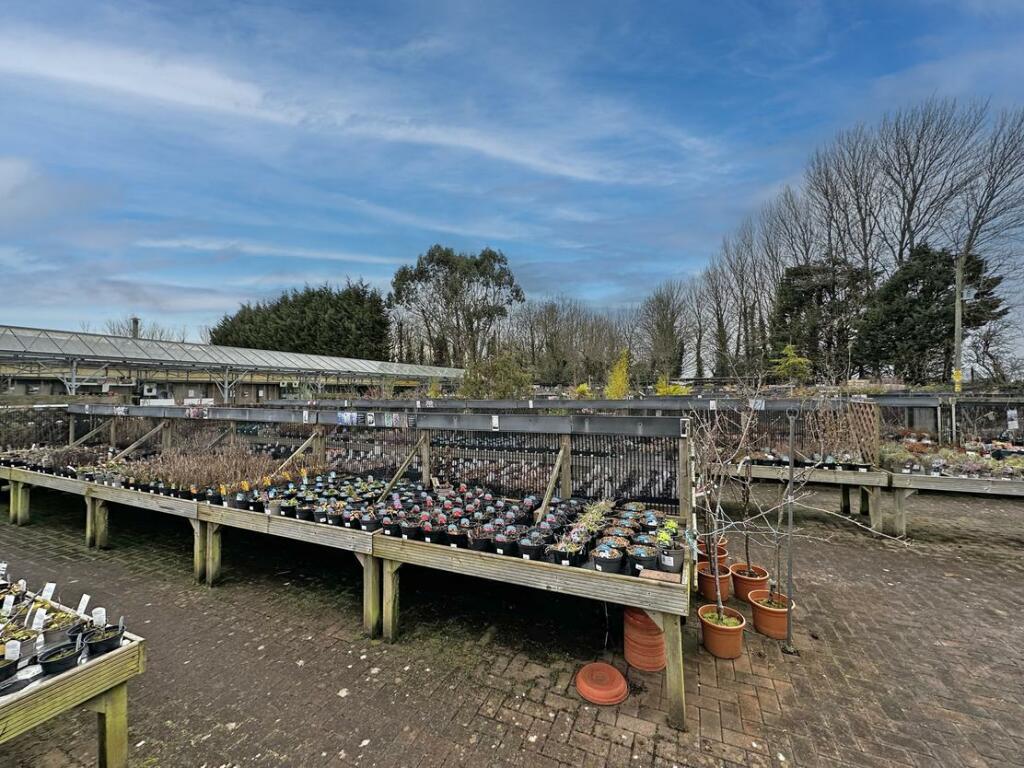 Additional image 7 of Brynawel Fuchsia & Garden Centre, Sully Road, Penarth, Vale of Glamorgan, CF64 2TR