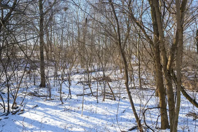 Additional image 33 of 1513 Riley Ave