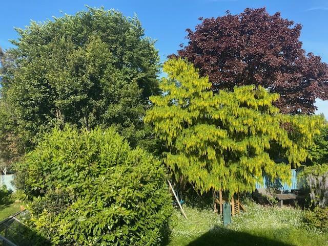 Additional image 12 of Knowbury Avenue, Penarth